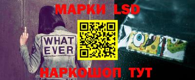 гашик Бузулук