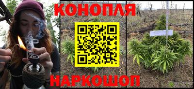гашик Бузулук