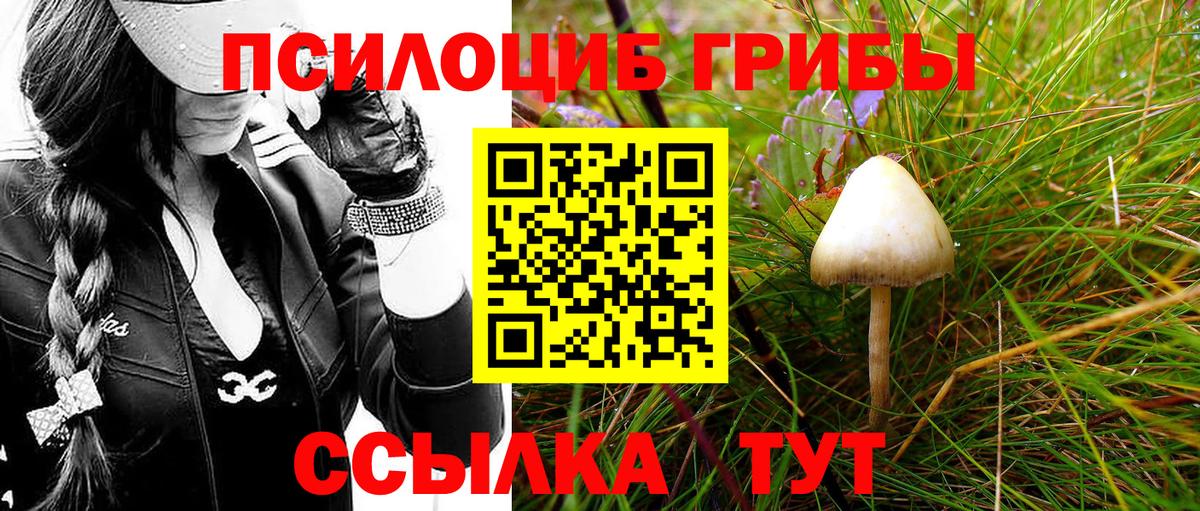 Галлюциногенные грибы GOLDEN TEACHER Рязань