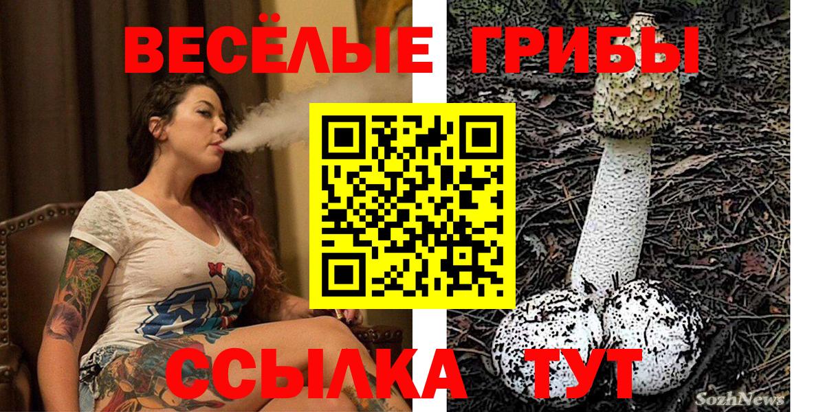 Рязань  Псилоцибиновые грибы мухоморы  Вход с VPN 